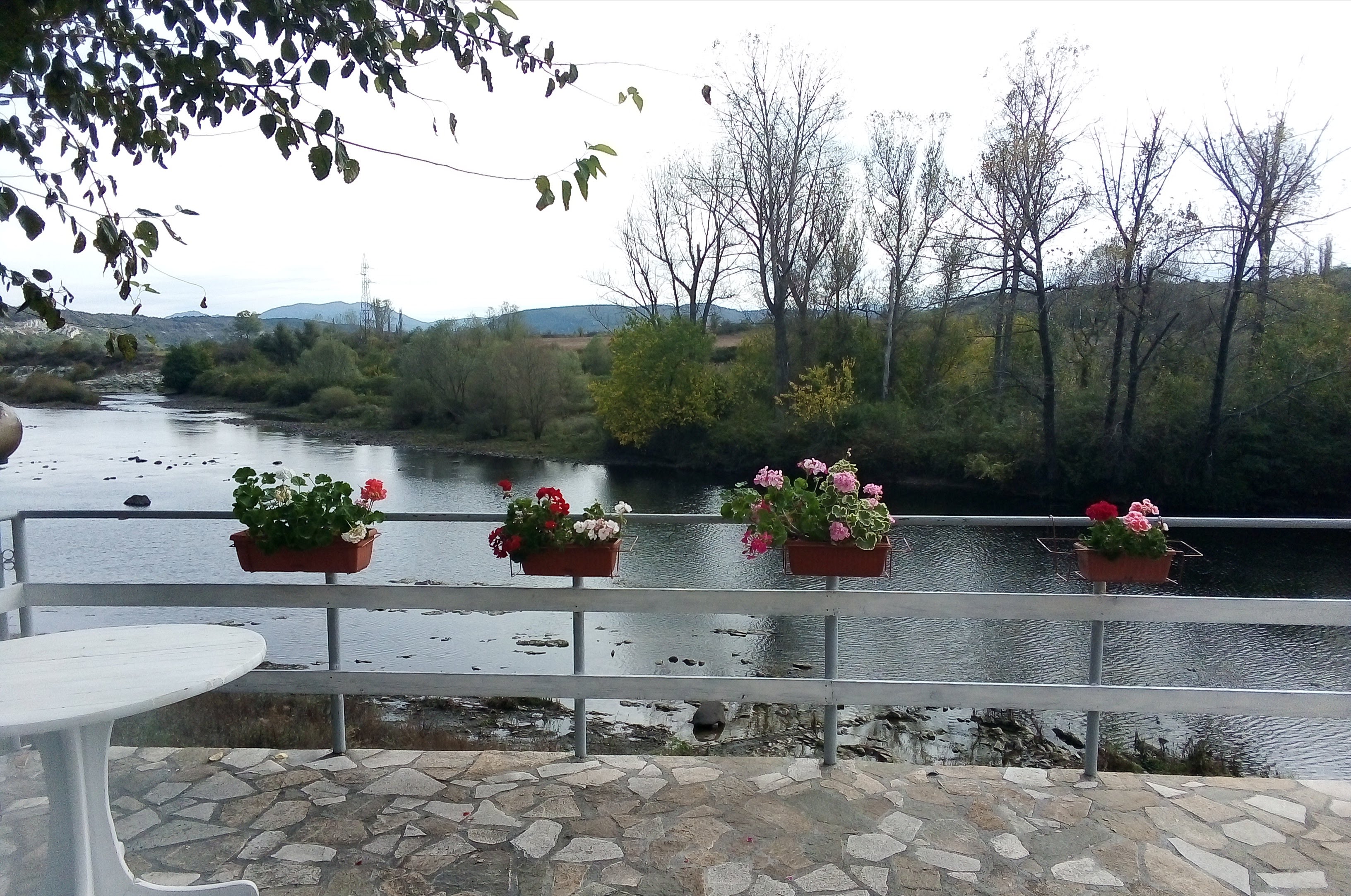 тепавицата
